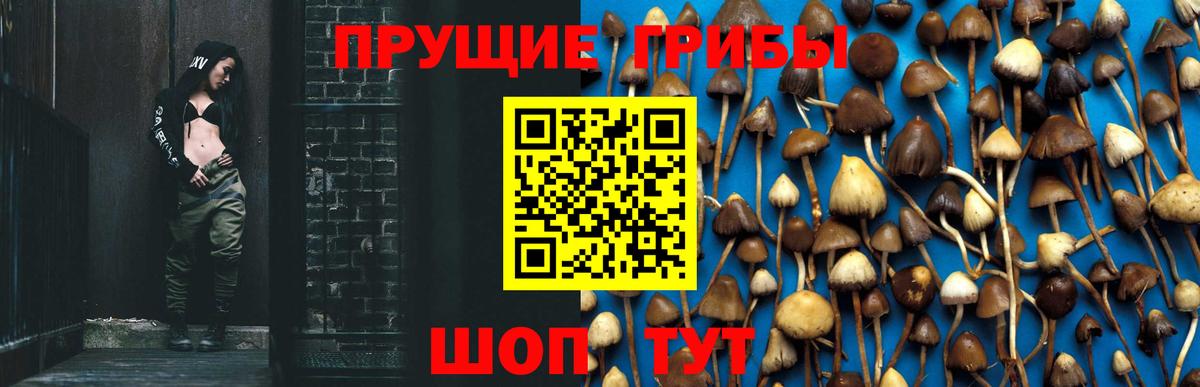 Галлюциногенные грибы мухоморы Протвино